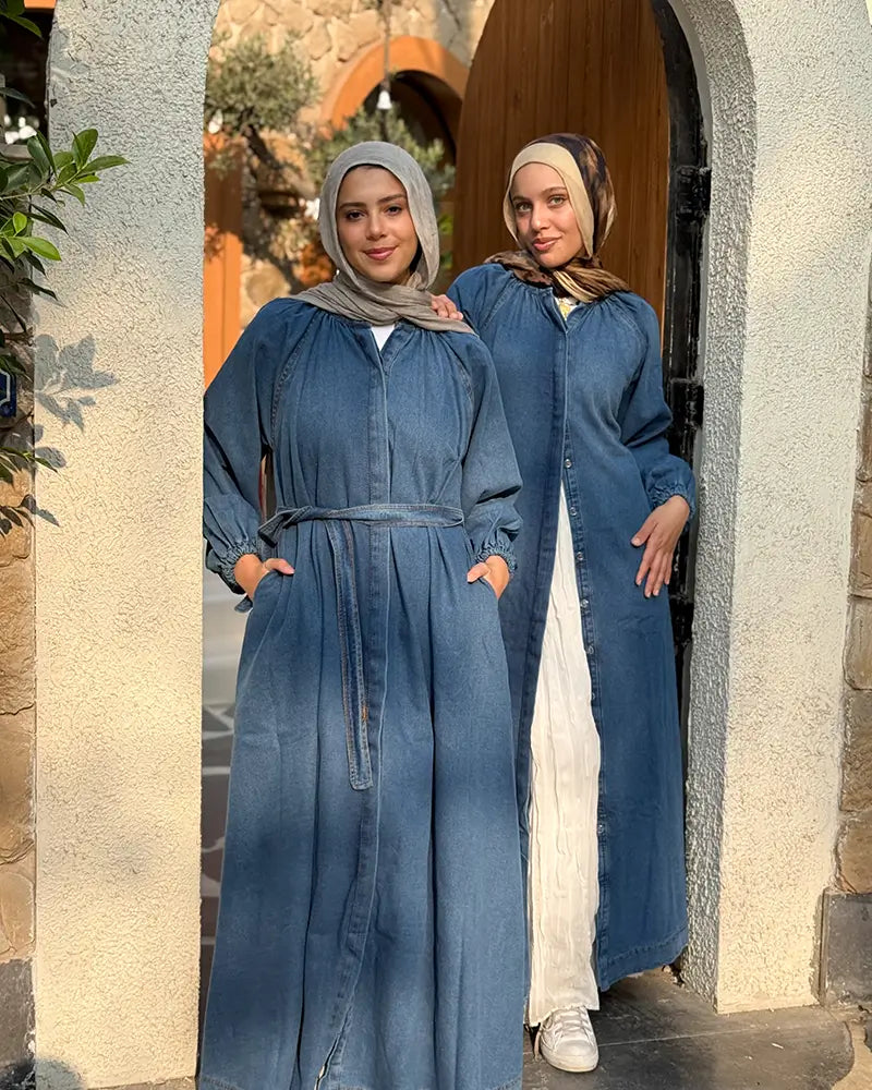 Shirt Denim Dress